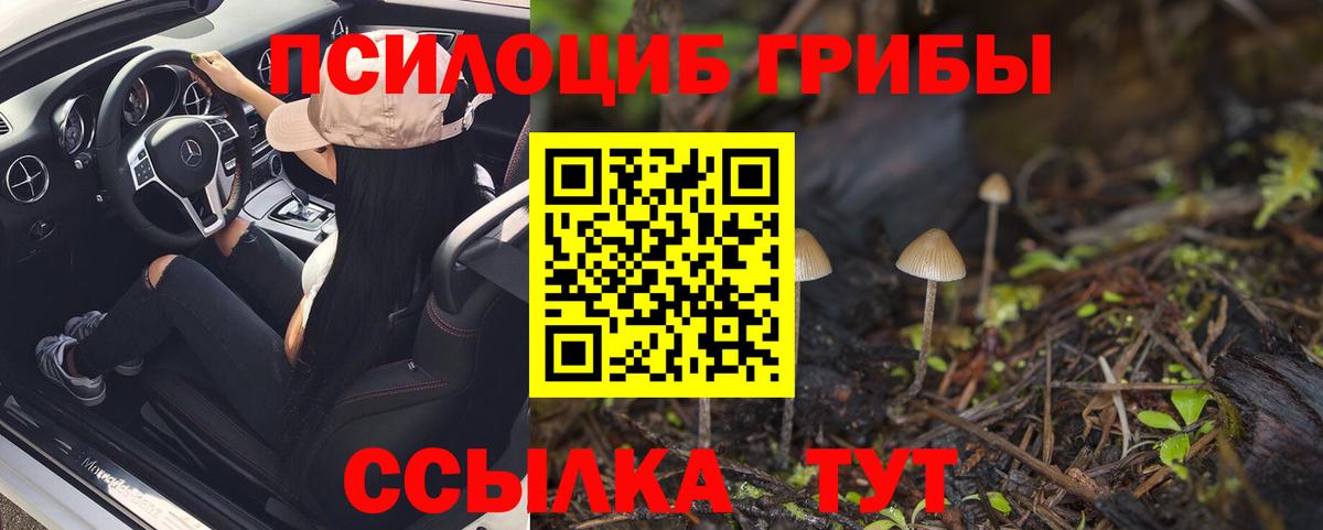 Галлюциногенные грибы Psilocybe  Галлюциногенные грибы мухоморы  Избербаш  Вход с VPN 
